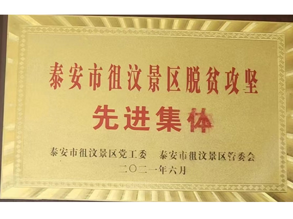 荣誉资质